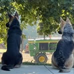 Profile Picture of Bill Guppy (@Bill-Guppy) on Facebook