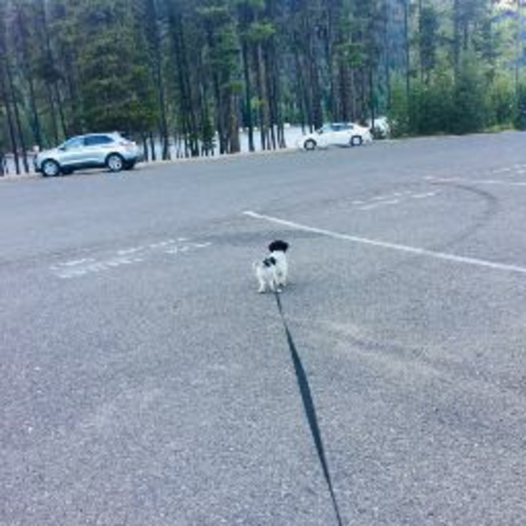 Profile Picture of Aydc Aydc (@yunysil21) on Poshmark