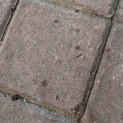 Profile Picture of Alexander Meng (@alexandermeng6) on Twitter