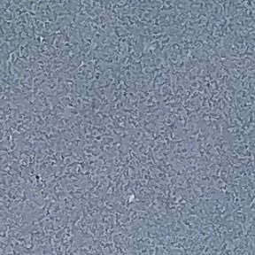 Profile Picture of Kenzie Neal (@kenzie_maeX) on Twitter