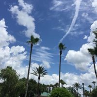 Profile Picture of Candy Carroll (@candy-carroll-1) on Quora