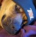 Profile Picture of Charles Allsopp (@charles.allsopp.92) on Facebook
