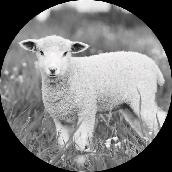 Profile Picture of Theanointed . (@theanointed777) on Poshmark