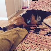 Profile Picture of Brian Dee (@briandee5882) on Youtube