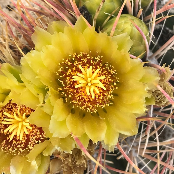 Profile Picture of Katie Hammerling (@khammerling) on Poshmark