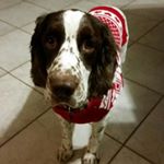 Profile Picture of Daniel Milner (@oh_floyd) on Instagram