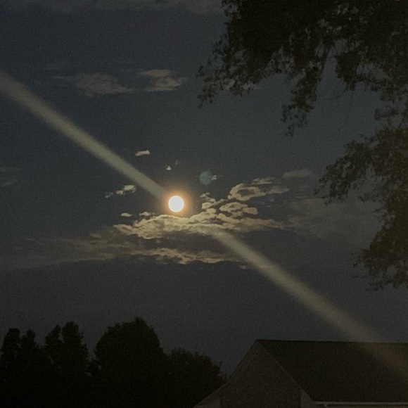 Alexis Bray - Poshmark Profile Picture of Alexis Bray (@bray89589) on Poshmark