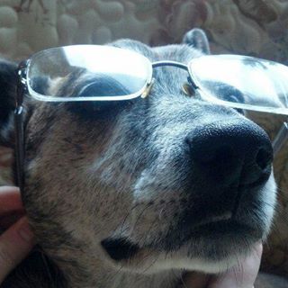 Profile Picture of Reuben Robertson (@reuben.robertson.7) on Facebook