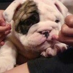 Profile Picture of Howard Hernandez Mayorga (@howardhernandezmayorga) on Instagram