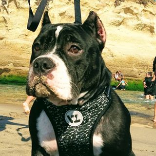 Profile Picture of Mark Niner Zavala (@MARKEY408) on Facebook