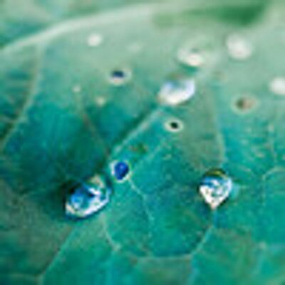 Profile Picture of Derek Millard-Smith (@DerekMillardSmi) on Twitter