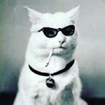 Profile Picture of AlbertMuratov (@albertmuratov577) on Instagram