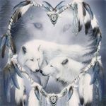 billie jo shipley - Instagram Profile Picture of billie jo shipley (@shipleybilliejo) on Instagram