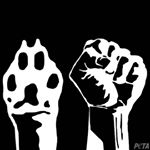 Profile Picture of Lisa Scher... (@liisas88.2.0) on Instagram