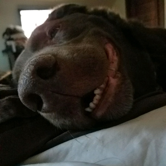 Profile Picture of C Pennock (@bora501) on Poshmark