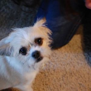 Profile Picture of Jillian Coleman (@298031589) on Myspace