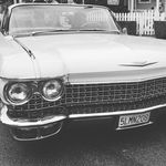 Profile Picture of Sarah Tweedy (@sarahs_delicious_creations_) on Instagram