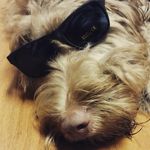 Profile Picture of Jason Billops (@j2dollabills) on Instagram
