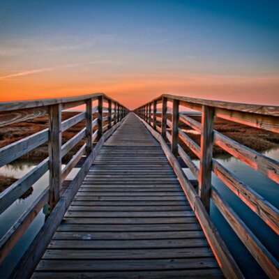 Profile Picture of Adam James Lindo (@adamjameslindo) on Twitter