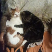 Profile Picture of Daniel Shepard (@danielshepard2148) on Youtube