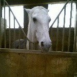 melinda Renard - Instagram Profile Picture of melinda Renard (@melindarenard) on Instagram