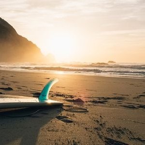 Profile Picture of Jakob Naumann (@Jakob_Naumann) on Twitter