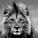 Profile Picture of Ahmad Al Maousherji (@ahmad al maousherji) on Flickr