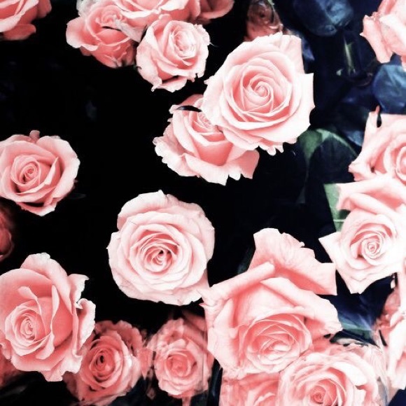 Profile Picture of Lisette Sanchez (@purplesmiles) on Poshmark