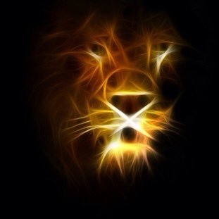 Profile Picture of Matthew Nicholl (@Matthewbigman2) on Twitter