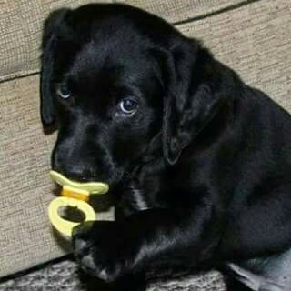 Profile Picture of Isabel Peralta (@isabelperalta42) on Twitter