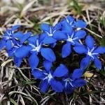 Profile Picture of Michael Deines (@promediafoto) on Instagram