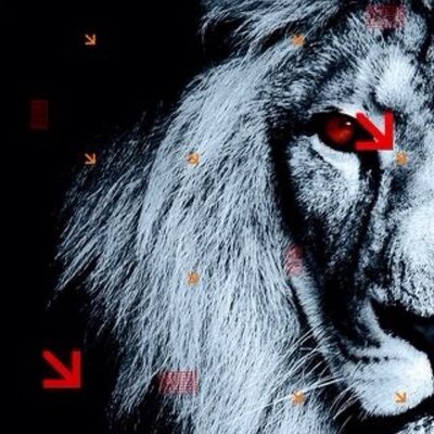 Profile Picture of Mike Vandevelde (@mbvandevelde) on Twitter