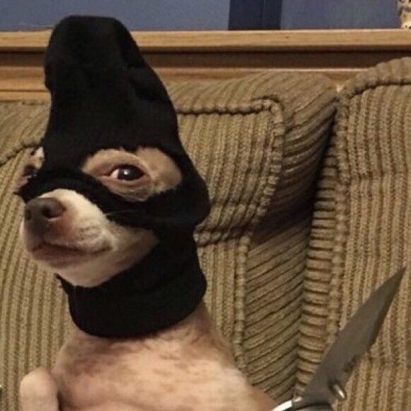 Profile Picture of Joe Odems (@joeodems) on Poshmark