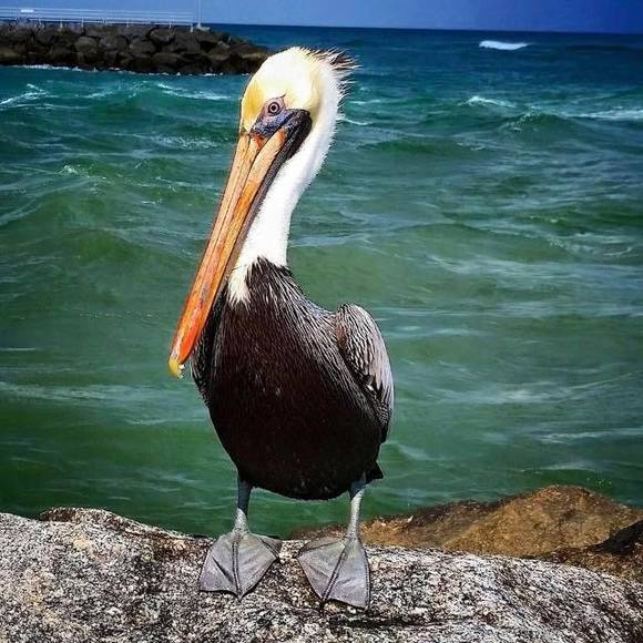 Profile Picture of Kimberly Hearl (@kimberlyhearl) on Poshmark