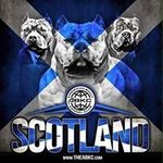 Profile Picture of Andy Findlay Ferguson (@andyfindlayferguson) on Instagram