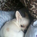 Profile Picture of Danny Hoogstraat (@hoogstraat) on Instagram