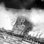 Profile Picture of Chad Torres (@halley.gerard) on Instagram