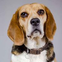 Profile Picture of Darrell Horner (@darrell-horner-1) on Quora