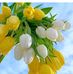 Profile Picture of Bina Pani Roy (@binapani.roy.397) on Facebook