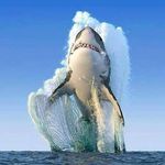 Profile Picture of Dave Lister (@lister5334) on Instagram