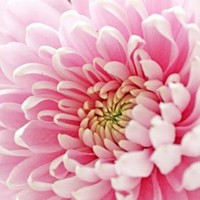 Profile Picture of Isabelle Jensen (@isabelle-jensen-4) on Quora