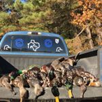 Preston Robinson - Instagram Profile Picture of Preston Robinson (@prestonrobinson18) on Instagram