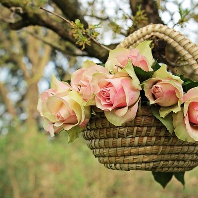 Profile Picture of Odell (@Odell50023109) on Twitter