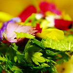 Profile Picture of Rain36w Wang (@rain36w wang) on Flickr