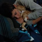 Profile Picture of Shayne (@shaynemfarrell) on Instagram