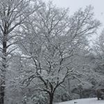 Profile Picture of Drew Parsley (@deepea75) on Instagram