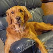 Profile Picture of Brad Kopesky (@BradKopesky) on Youtube