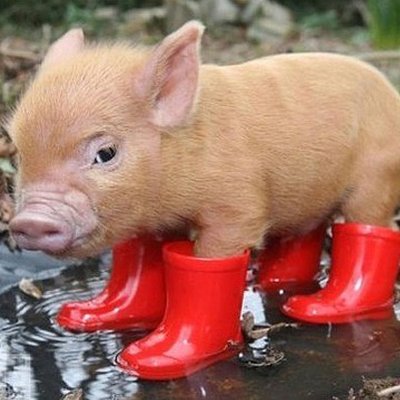 筋トレのススメ - Twitter Profile Picture of 筋トレのススメ (@TakeoSato3) on Twitter