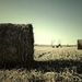 Profile Picture of Daniel Rondeau (@danielrondeau50) on Pinterest
