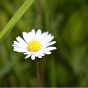 Profile Picture of Tiven (@tiven2550) on Youtube